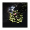 Trademark Fine Art Kurt Shaffer 'Pink Lotus In The Sky' Canvas Art, 14x14 KS01400-C1414GG